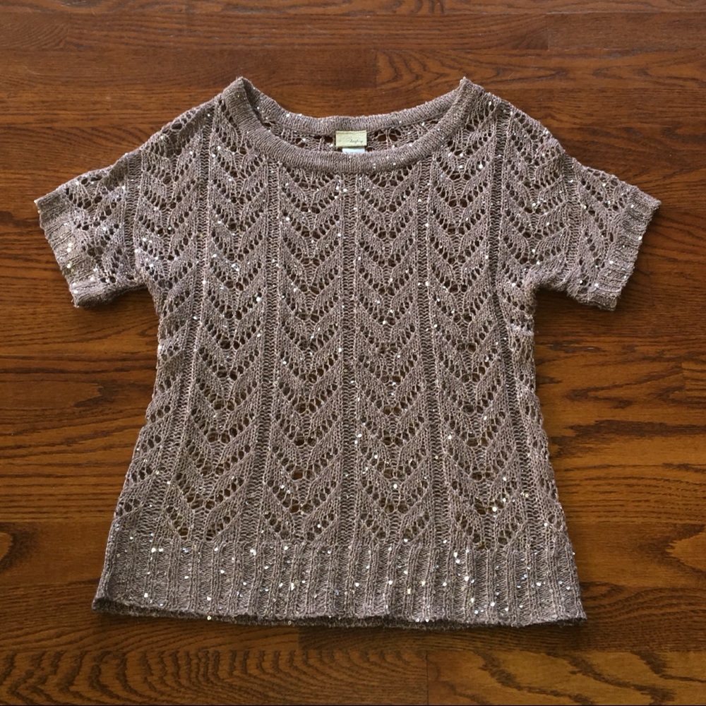 Daytrip Sparkly Short-Sleeved Sweater